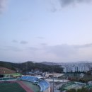 보산숯불장작구이 이미지