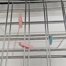 영도 엘스테이 이미지