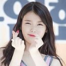 개이득