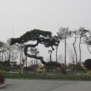 파인스톤컨트리클럽 이미지