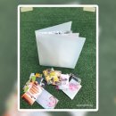 토비메모리 - 8371 | 추억 264개 꽉 채워! 관리 쉬운 토비메모리 대용량 무지 포켓 앨범