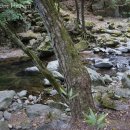 합천어전졸음쉼터화장실 | [10월] 합천 가을여행_ 가볼만한 휴게소: 덕평자연휴게소, 아름다운 쉼터