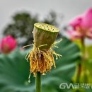 민속마을 이미지