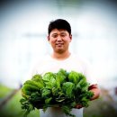 충실농장 이미지