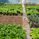 대가손두부 이미지