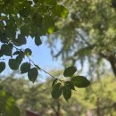 마음수련 이미지