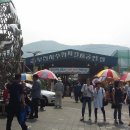 자갈치시장 이미지