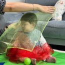 일곱실천 | 7개월아기 '히히호호' 방문수업 7주 수업 후기 👶🏻 / 7주만 하고 그만 둔 이유?!