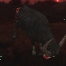 드래곤PC 이미지