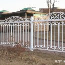 디자인데이지 이미지