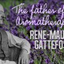 아로마테라피 이미지