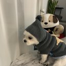 원샵헤어 이미지