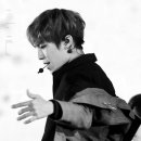박초코 이미지