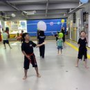 합기도 양우관 천동도장 이미지