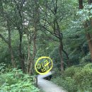 과천역 2번출구 뒤 | 4호선 과천역에서 가깝고 길이 편한 "과천향교 계곡" (주차 정보)