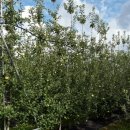 부동농장 이미지