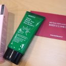 Sun Tree(썬 트리) 이미지