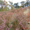 성북2리 이미지