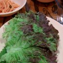 나노갈매기 이미지