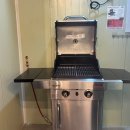 푸른틈 풀펜션 이미지