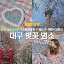 두류타워모텔 | 대구 벚꽃 명소 BEST 3｜두류공원·이월드·아르떼수성랜드 봄 여행 코스