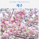쁘띠아키 | 실시간 제주겹벚꽃ㆍ신화월드유채꽃ㆍ제주공항근처숙소