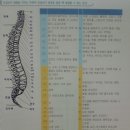 척추변위에 의한 영향 이미지
