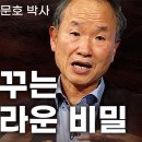 자면서 꾸는 꿈의 놀라운 비밀 이미지