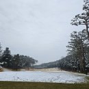 눈과 함께 이미지