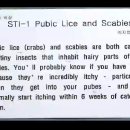 STI-1 Pubic Lice and Scabies 이미지