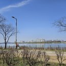 쌍교순두부 | [일기]&#39;24.4.결산-서울여행2탄/ 벚꽃구경/ 14개월 아기 수두/ 걸음마 맹연습