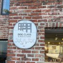 독클래스 이미지