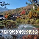 마당이수목원(자작나무동) | 가을 가볼만한곳 단풍 명소 곤지암 화담숲 화담채 모노레일 힐링 타임 후기