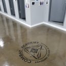 컴뱃주짓수 이미지