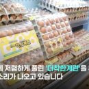 30% 할인 착한계란 출시... 유통업계 반발.jpg 이미지