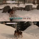 이목농장 2 이미지