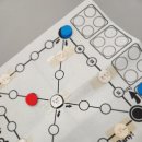 한양대 하나태권도장 이미지