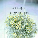 천장어 - 시흥시 동서로 702 | 천장어