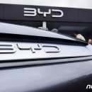 대의상회 이미지