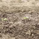 이순농장 이미지