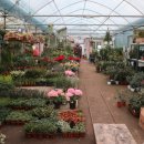 광명농원 이미지