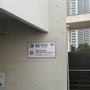 묵호농협본점 | [정보] 부산 오륙도 해맞이공원 수선화 실시간 개화율 (26.03.26)(+포토스팟 공유)