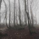 포천아도니스 대중골프장 이미지