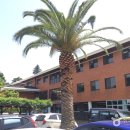 서귀포시삼매봉도서관 이미지