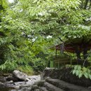 청정민박 이미지