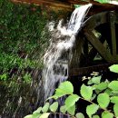 한전수안보연수원 이미지