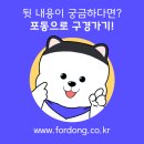 푸들민박 이미지