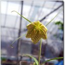 들꽃풍경 이미지