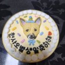 간식세끼 | 강아지케이크-간식세끼 잘먹었개(내돈내산 솔직후기)