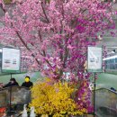 창동 농협하나로마트 앞 이미지